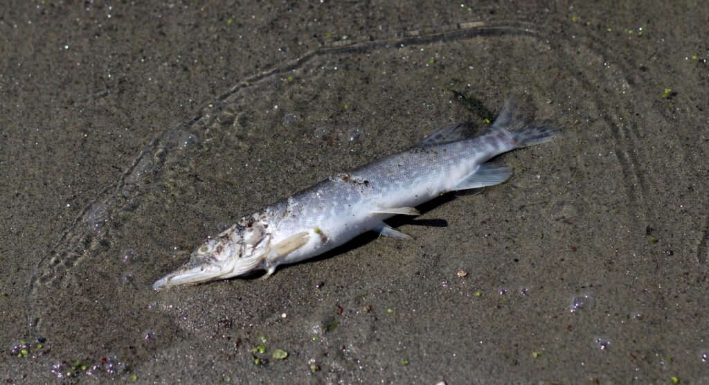 名古屋の保育士園長求人を探す際のポイントは？