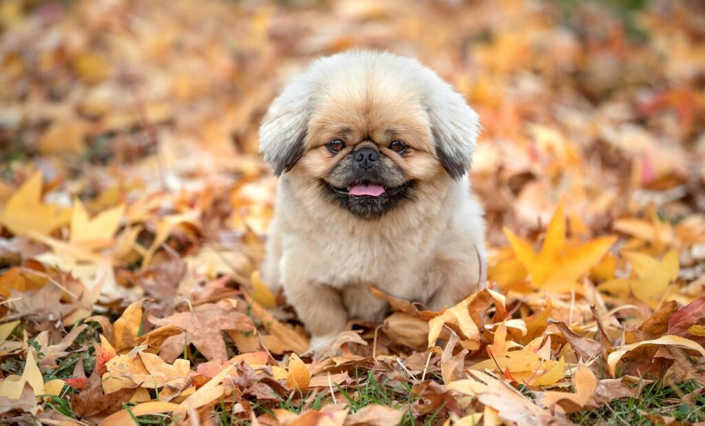 名古屋の保育士が有給を取りやすくするためのポイントは？