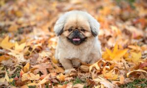 名古屋の保育士が有給を取りやすくするためのポイントは？