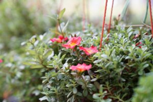 名古屋の保育士転職に必要な職務経歴書の書き方は？