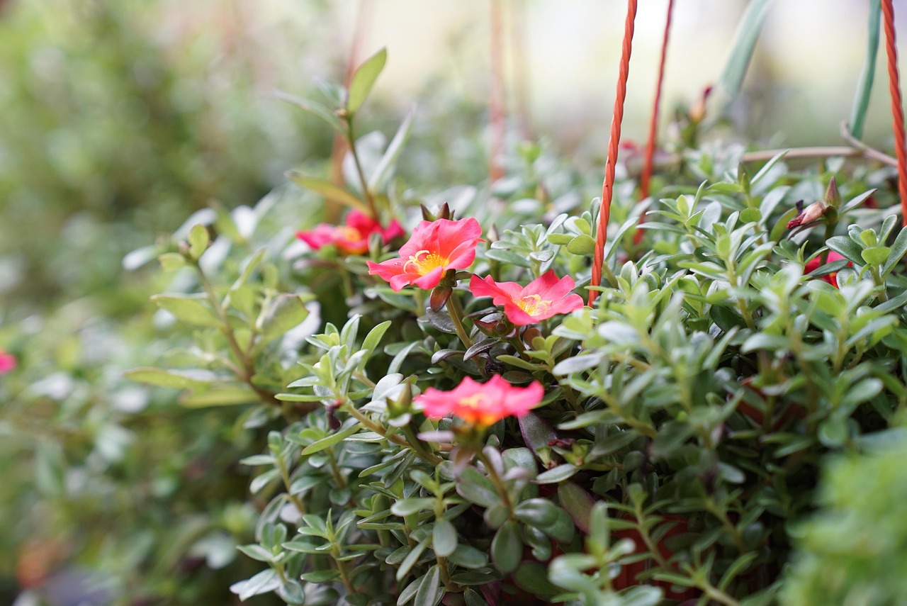 名古屋の保育士転職に必要な職務経歴書の書き方は？