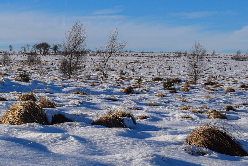 名東区で高収入の保育士求人はどこにある？