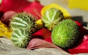 緑区で保育士として人間関係を良好に保つための求人はどこにある？