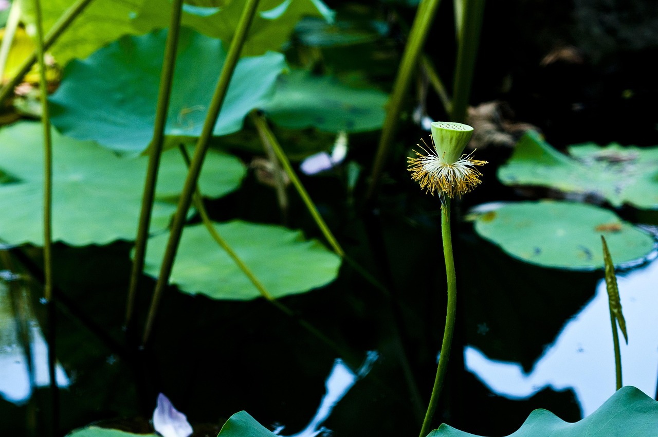 名古屋の新規開園保育士に求められるスキルとは？